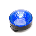 48975795847502|48975795978574