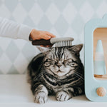 V8HDD4FC21B62BFC95D6AF79CEF1730E906R4267965P3