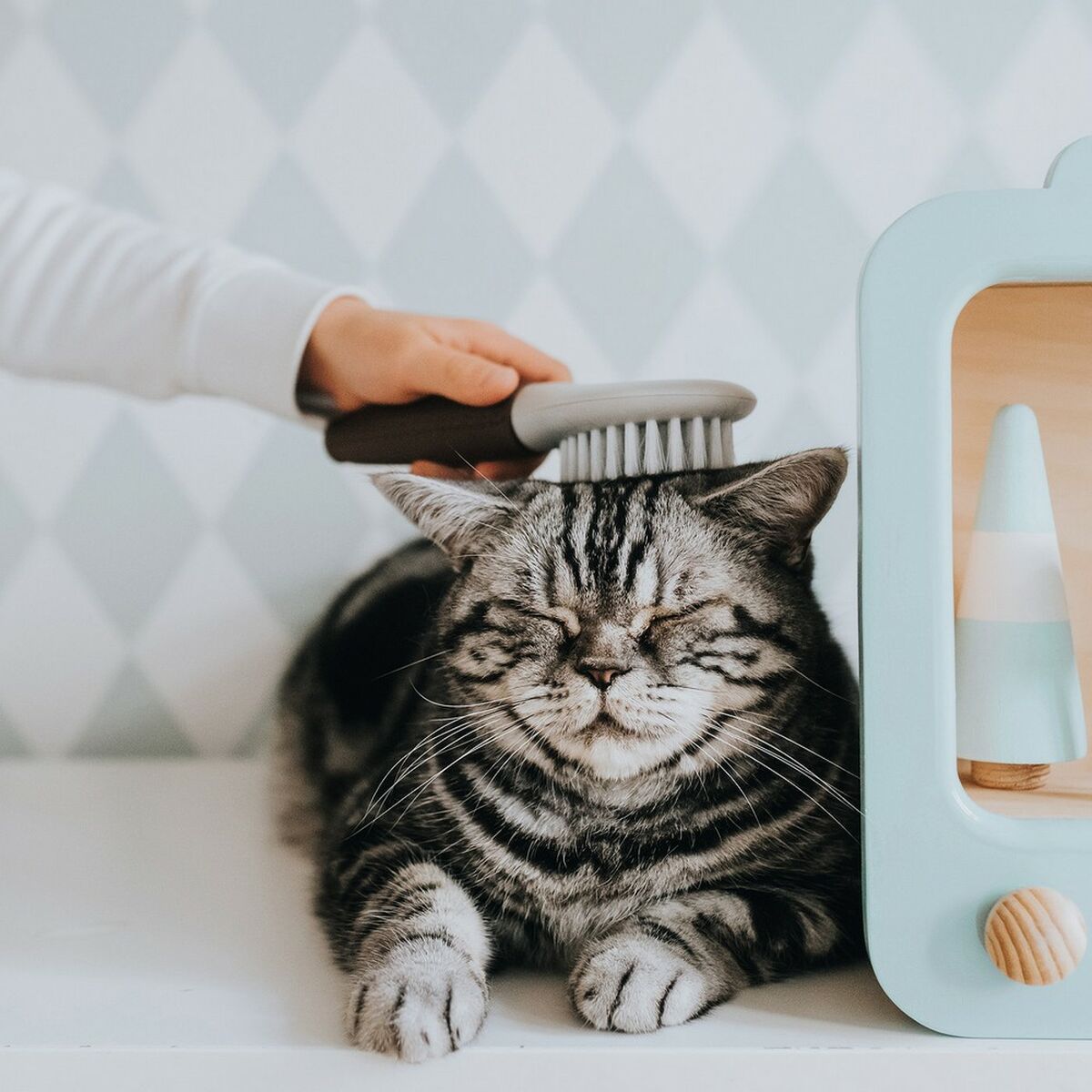 V8HDD4FC21B62BFC95D6AF79CEF1730E906R4267965P3