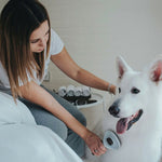 V8H460C537B0AF9C2C38B7B271D5E915367R3618607P2