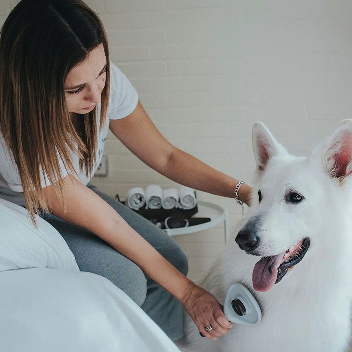 V8H460C537B0AF9C2C38B7B271D5E915367R3618607P2