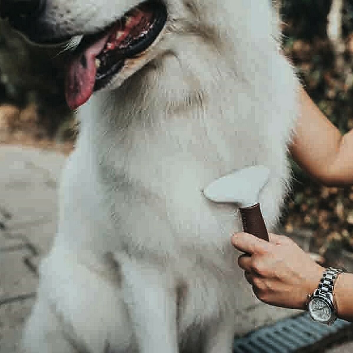 V8HFE538279B9EF97FA22AB78DEC61501F1R2351998P3