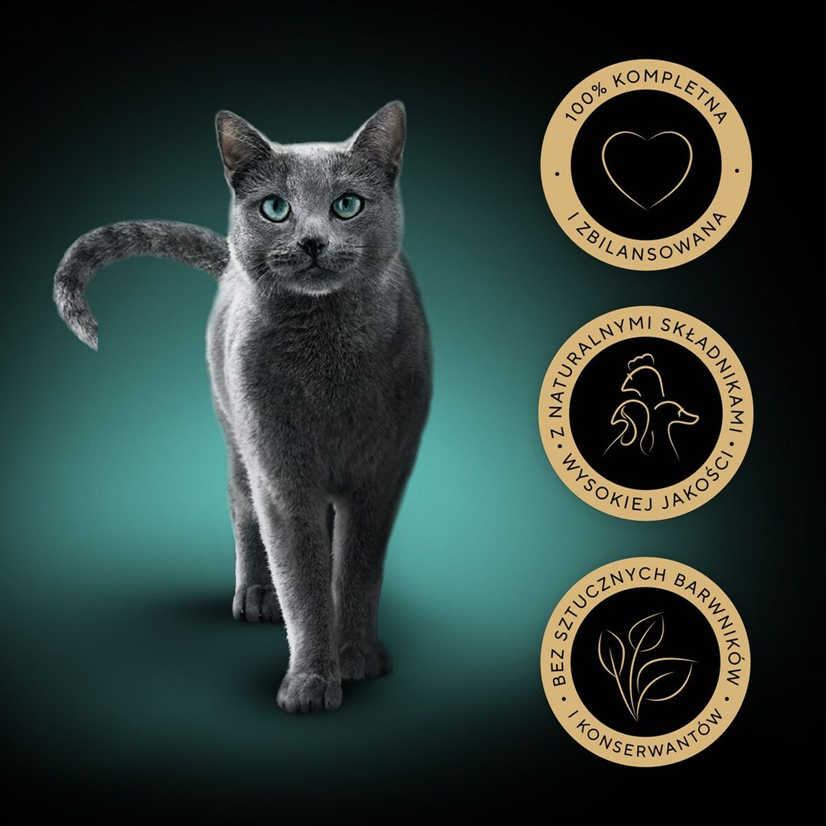 V3H9D1DFBD60D107A5091DDF1EC748B0E7AR4903974P6