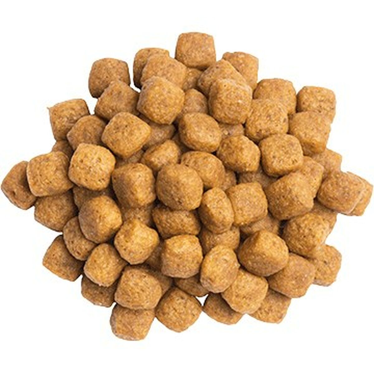 V3HC5C6BF1BB7596056A321A05B6FF73512R4947237P2