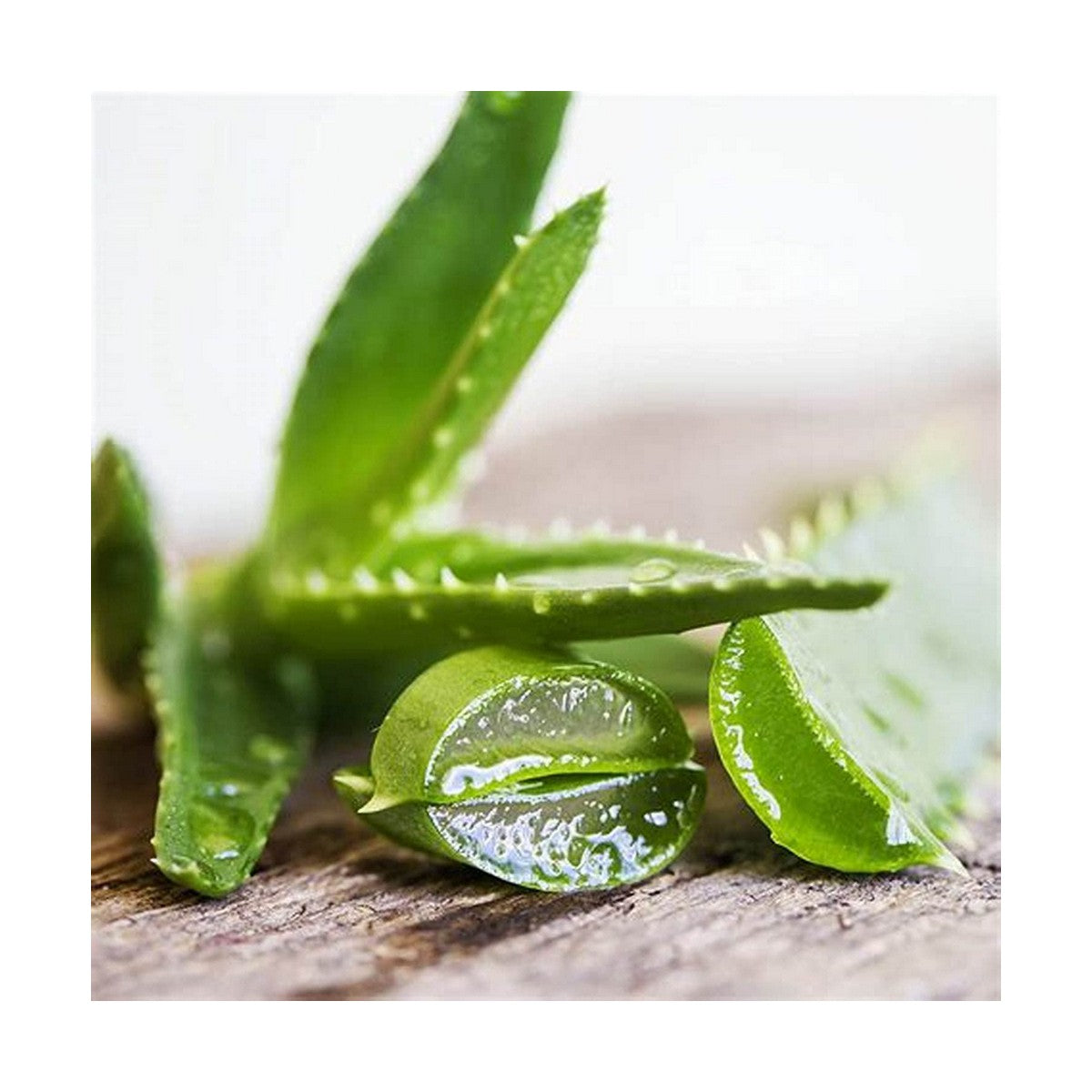 V9HF1F208BD7E00DEA00C4C58342F684D02R4219816P2