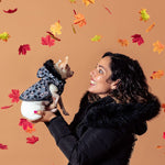 V6HFAD6ADD54BA1D6486B01547E80AD38EER3939546P6