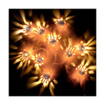 V10H4FB79B9C1B66F558EC6A682D330934A9R4016676P3