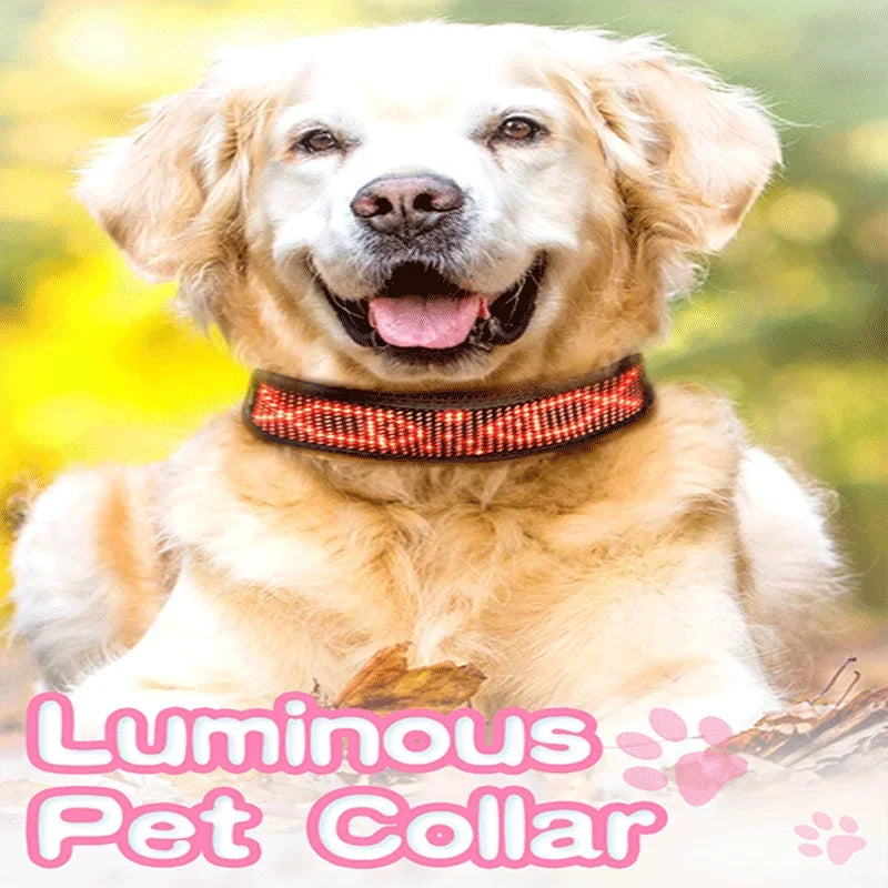 App Bluetooth Adjustable Luminous LED Pet Collar Waterproof Light Up Safety Dog Accessories Collar Programmable USB Rechargeable