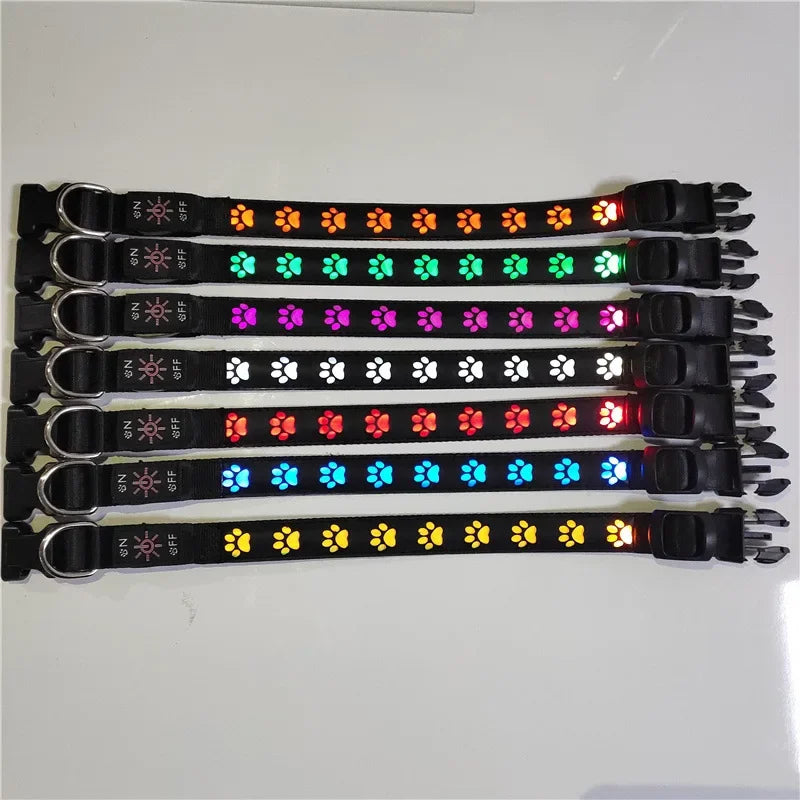 LED Dogs Luminous Collar Paw Pet Dog Walking Dog Collar Tag  Anti-car Accident Anti-lost Light Warning Safety Puppy accessories