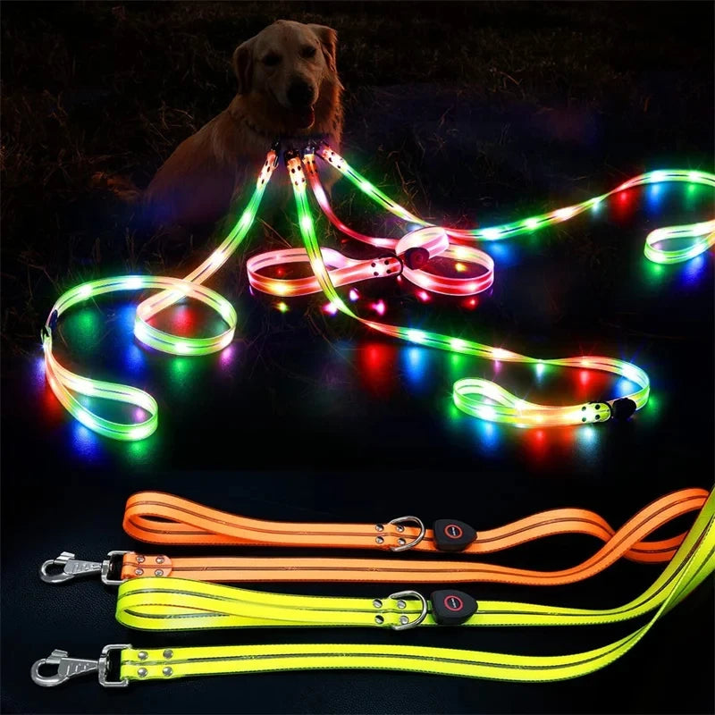 Led Light Up Dog Leash Walking Safety Glow in The Dark USB Rechargeable Adjustable for Large Medium Small Pet Lighted Dog Collar