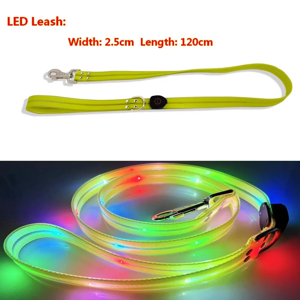 Pet Dog LED Light UP Leash USB Rechargeable PVC With Webbing Glowing Pet Leash Light Up Puppy Dog Night Walking No Collar