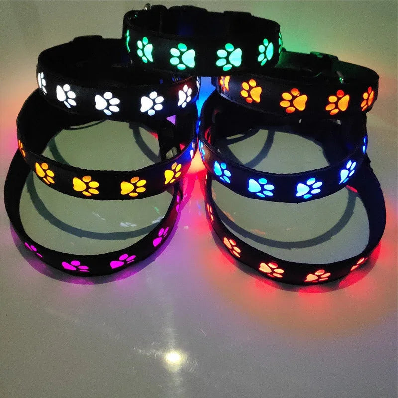 LED Dogs Luminous Collar Paw Pet Dog Walking Dog Collar Tag  Anti-car Accident Anti-lost Light Warning Safety Puppy accessories