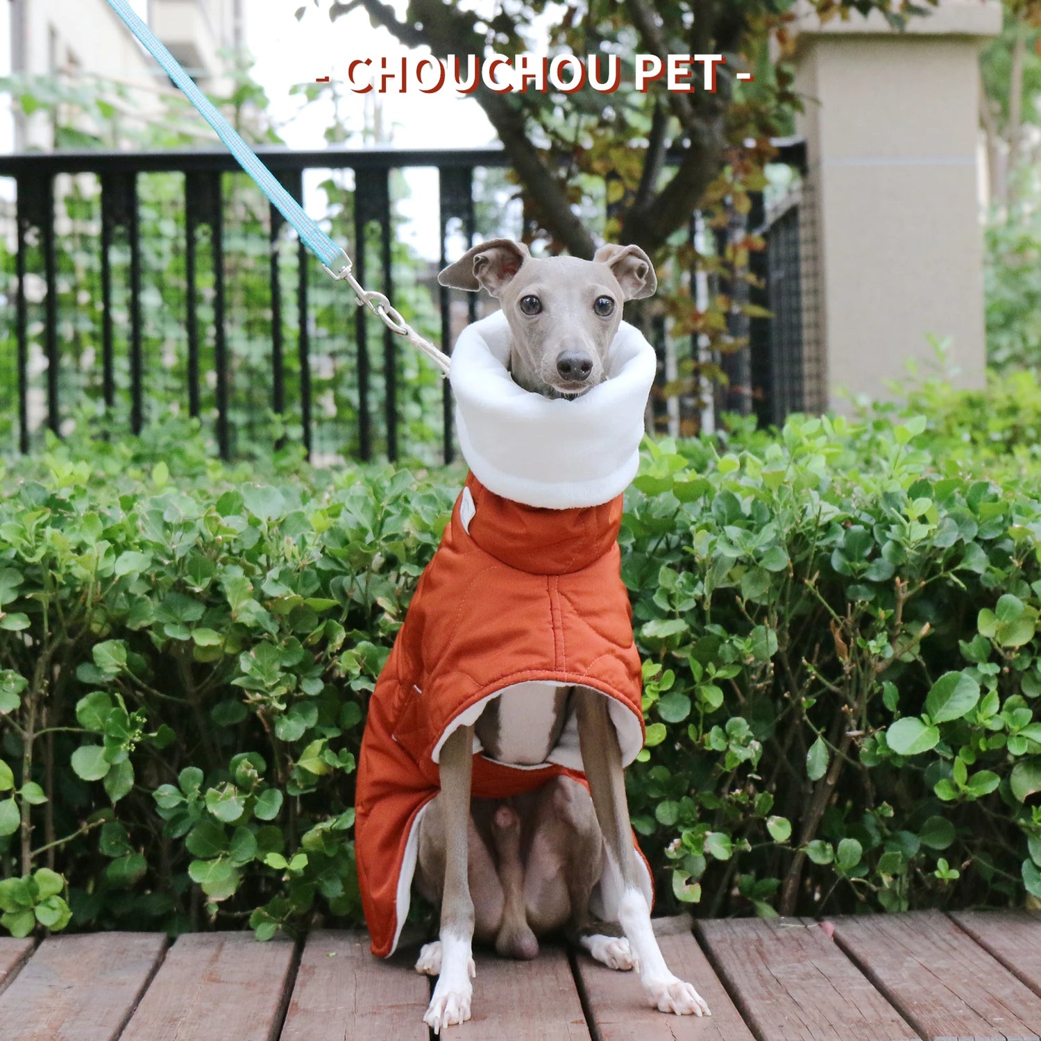 Winter Dog Outer orange Quilted Turtle Collar Dog Coat Warm Italian Greyhound Adjustable Cotton Whippet