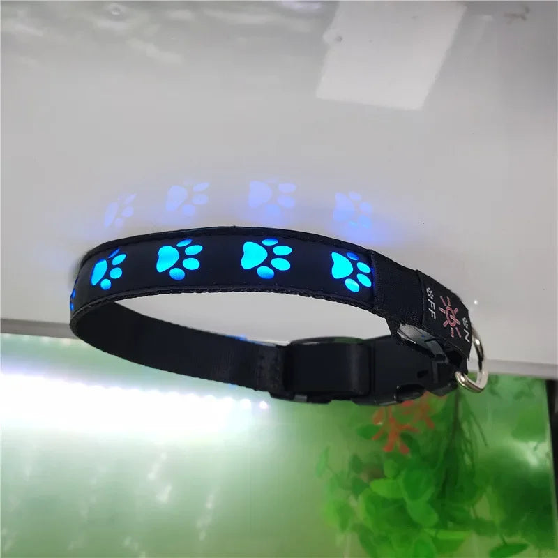 LED Dogs Luminous Collar Paw Pet Dog Walking Dog Collar Tag  Anti-car Accident Anti-lost Light Warning Safety Puppy accessories